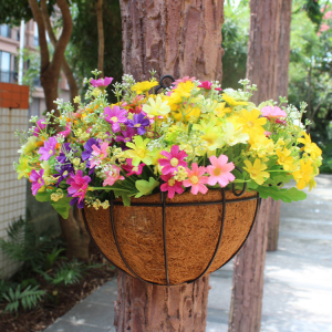 hanging basket